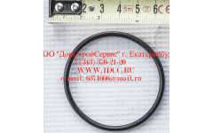 Кольцо уплотнительное ø346х3.5 гидромуфты ГТР CDM 855, 843 фото Санкт-Петербург