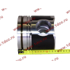Поршневая группа WD12/WD618 (6 гильз, 6 поршней (..0017), 6 пальцев, комплект колец) SH SHAANXI / Shacman (ШАНКСИ / Шакман) 61800010125 фото 12 Санкт-Петербург