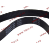 Ремень 8PK1062 ручейковый (Евро З) CREATEK CREATEK 612600020251/CK8024 фото 2 Санкт-Петербург