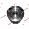 Поршневая группа WD12/WD618 (6 гильз, 6 поршней (..0017), 6 пальцев, комплект колец) SH SHAANXI / Shacman (ШАНКСИ / Шакман) 61800010125 фото 11 Санкт-Петербург
