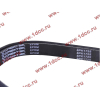 Ремень 8PK1725 DF/C CREATEK CREATEK C3911620/CK8041 фото 2 Санкт-Петербург