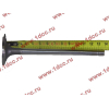 Клапан впускной DF DONG FENG (ДОНГ ФЕНГ) D3942588/3970727/C5307875 для самосвала фото 2 Санкт-Петербург