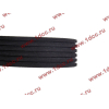 Ремень 6PK1020 кондиционера H3 CREATEK CREATEK WG1500130016/CK8021 фото 3 Санкт-Петербург