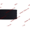 Ремень 8PK1725 DF/C CREATEK CREATEK C3911620/CK8041 фото 3 Санкт-Петербург
