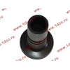 Стакан штанги-толкателя двигатель TD226B6G LONGGONG Lonking CDM (СДМ) 12273399 фото 4 Санкт-Петербург