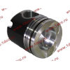 Поршневая группа WD615G.220 CDM855 Lonking CDM (СДМ) 612600030015 фото 7 Санкт-Петербург