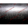 Поршневая группа WD12/WD618 (6 гильз, 6 поршней (..0017), 6 пальцев, комплект колец) SH SHAANXI / Shacman (ШАНКСИ / Шакман) 61800010125 фото 9 Санкт-Петербург